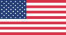 American Flag illustration
