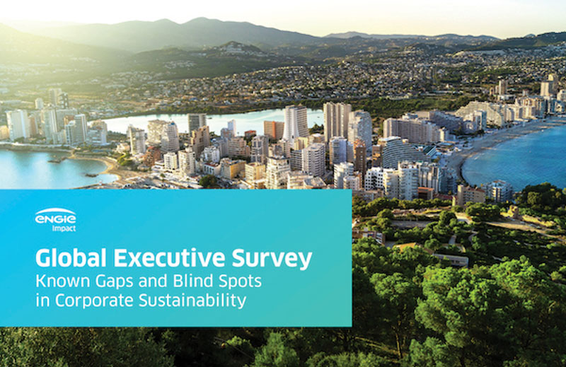 Global Executive Survey: Known Gaps and Blind Spots in Corporate Sustainability