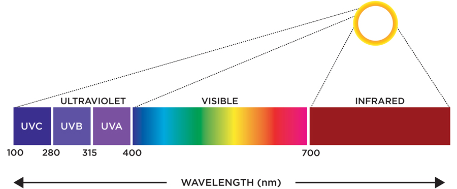 UV light spectrum graph