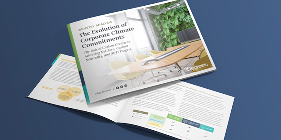 The Evolution of Corporate Climate Commitments paper booklet