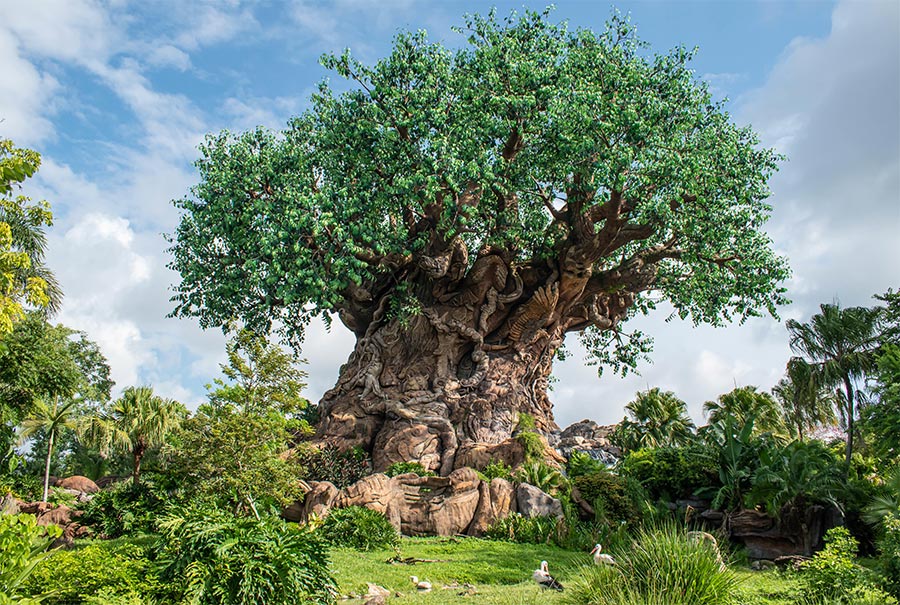 Disney’s Tree of Life in Orlando, FL