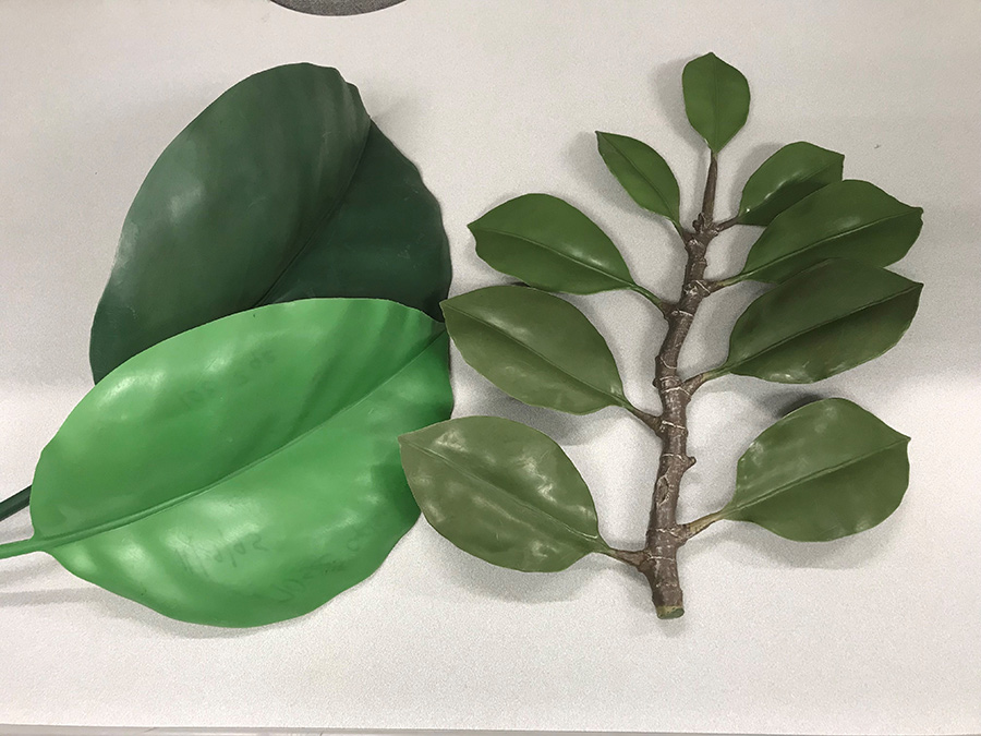 Leaves made from PVDF copolymers