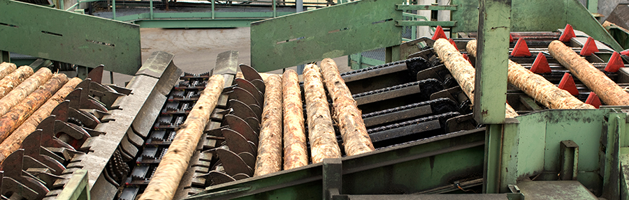 lumber and paper machine in factory
