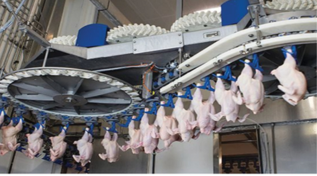 Very large cams, fixtures for deboning chickens and many other mechanical parts help processors deliver nearly 25 million chickens per day from approximately 200 U.S. processing plants
