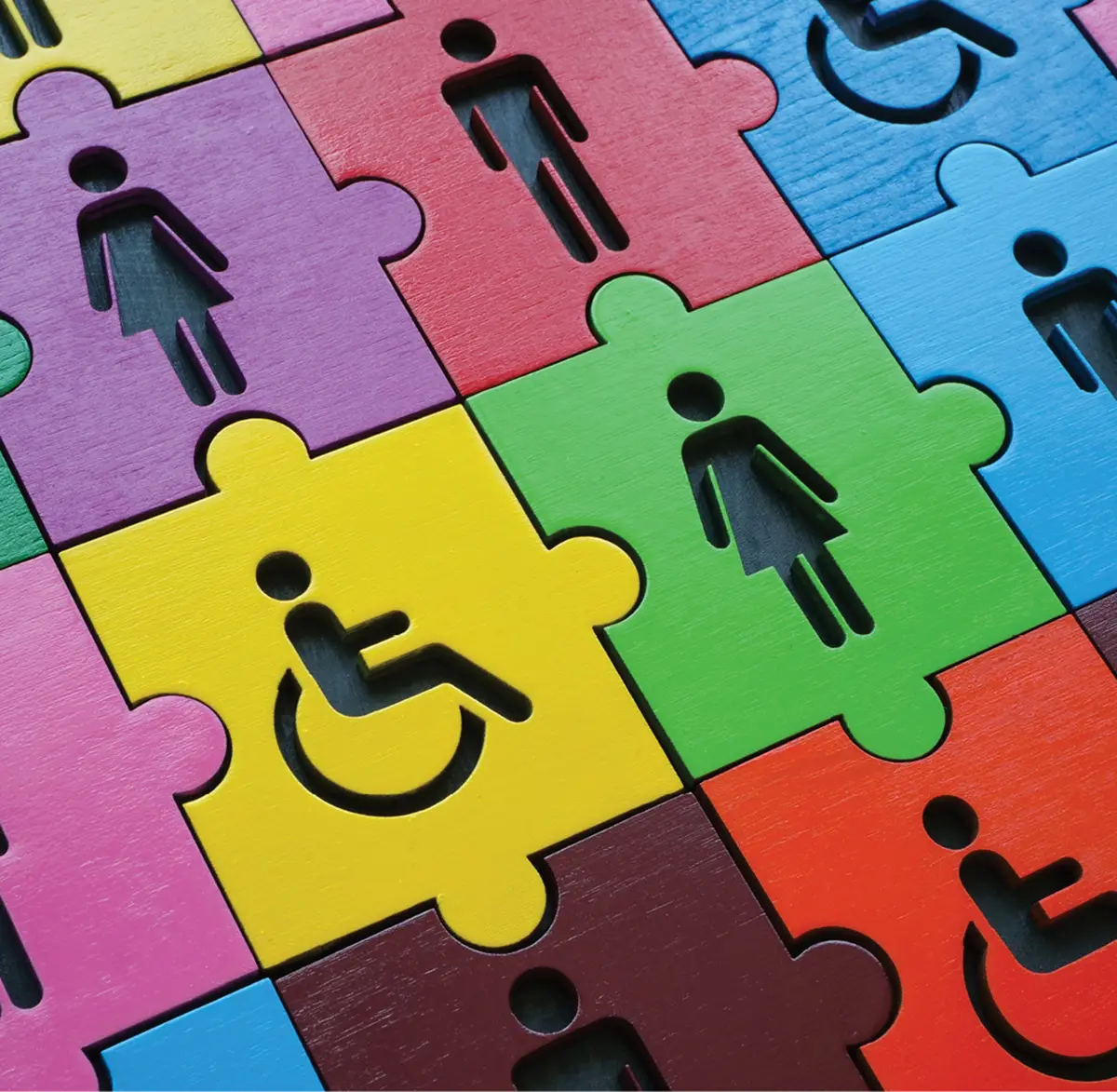different colored puzzle pieces with a female, male, and wheelchair symbol