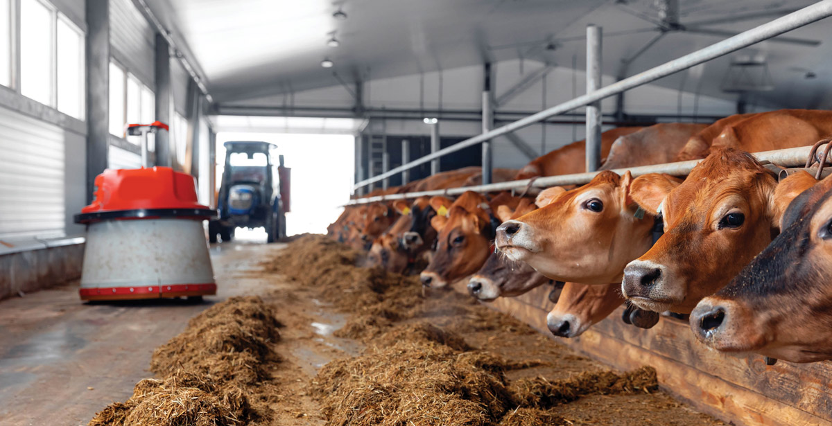 PVC liner panels being used in a livestock facility