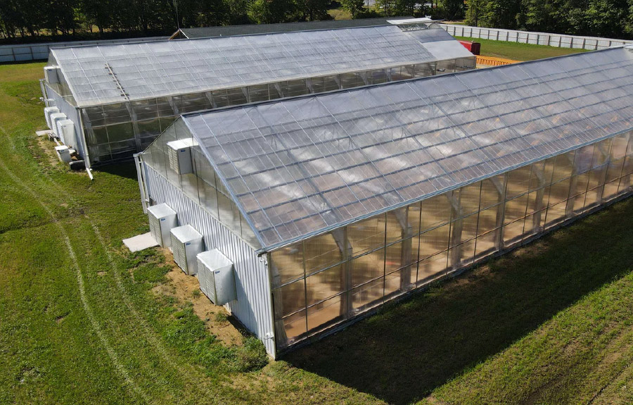 Polycarbonate Sheet Uses in Agriculture Buildings