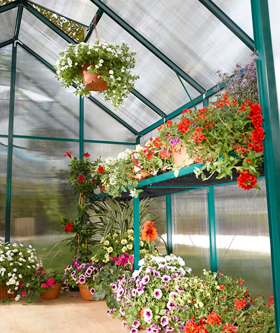 Interior view of strong polycarbonate sheets and are a durable option for retail nurseries. Photo by Gallina USA LLC.