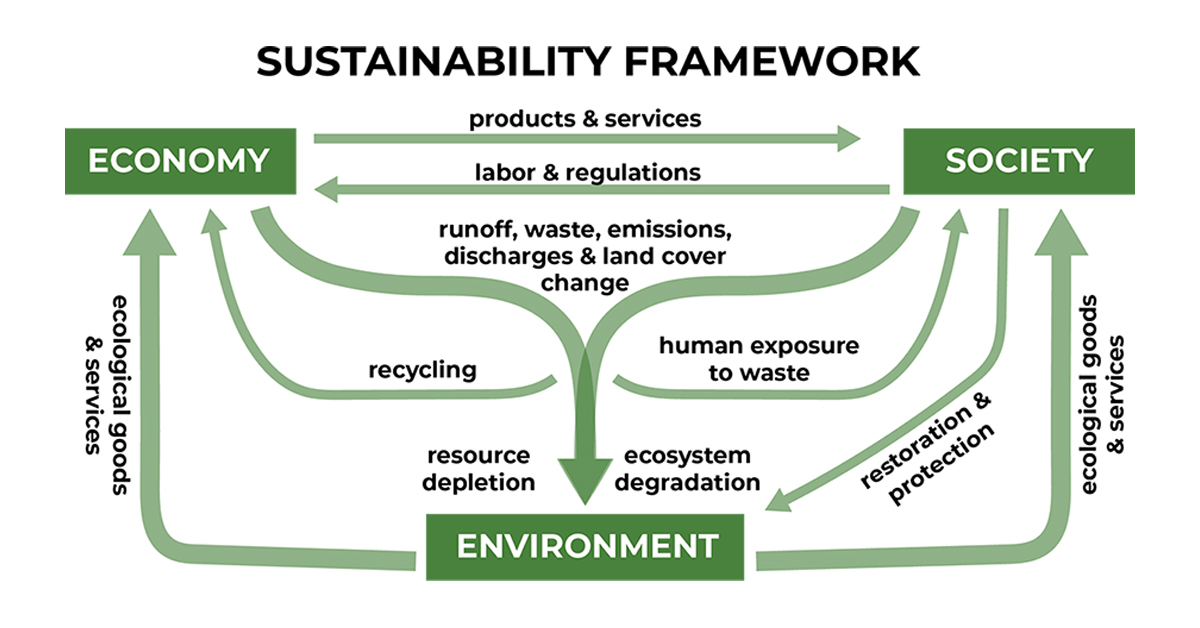 More than a buzzword: What does sustainability really mean?