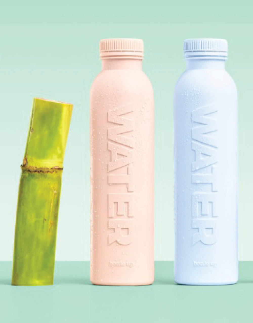 pink and blue Bottle Up refillable bottles via Braskem next to a piece of sugarcane