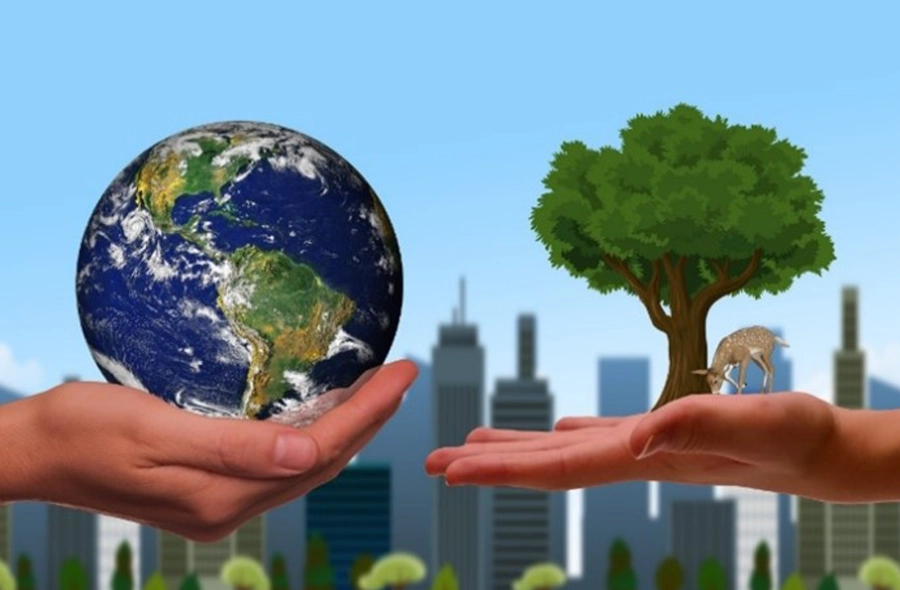 image of one hand holding a small Earth and another holding a full grown tree and a grazing deer, both hands are set against a cityscape background