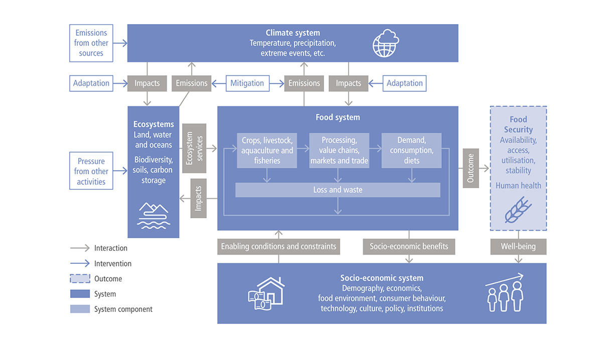 Figure 1: From the IPCC 2019 Special Report of Land and Sea denoting the intersections of systems experienced by the Food and Beverage Space in relation to food security
